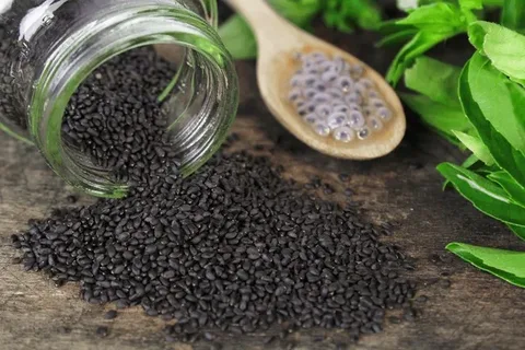 تصویر 3 از فروش تخم شربتی عمده + قیمت خرید به صرفه